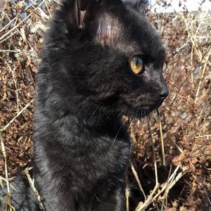 Meet your Posher, Brielyn